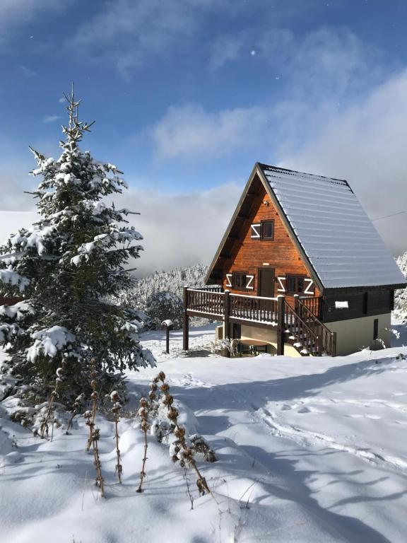 Chalet Chalet les Dalmatiens Station de ski de Camurac 9 Chemin du Sarrat 11340 Camurac