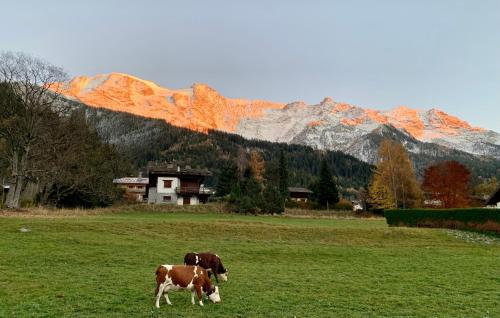 CHALET LES DOMES DE MIAGE