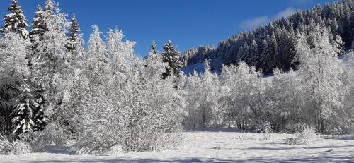 CHALET LES EPILOBES