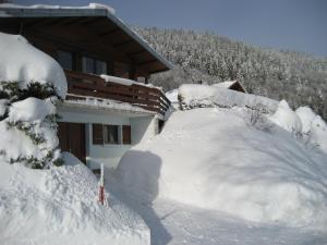 Chalet Chalet Les Jonquilles 42 , route de la basse des feignes 88250 La Bresse Lorraine