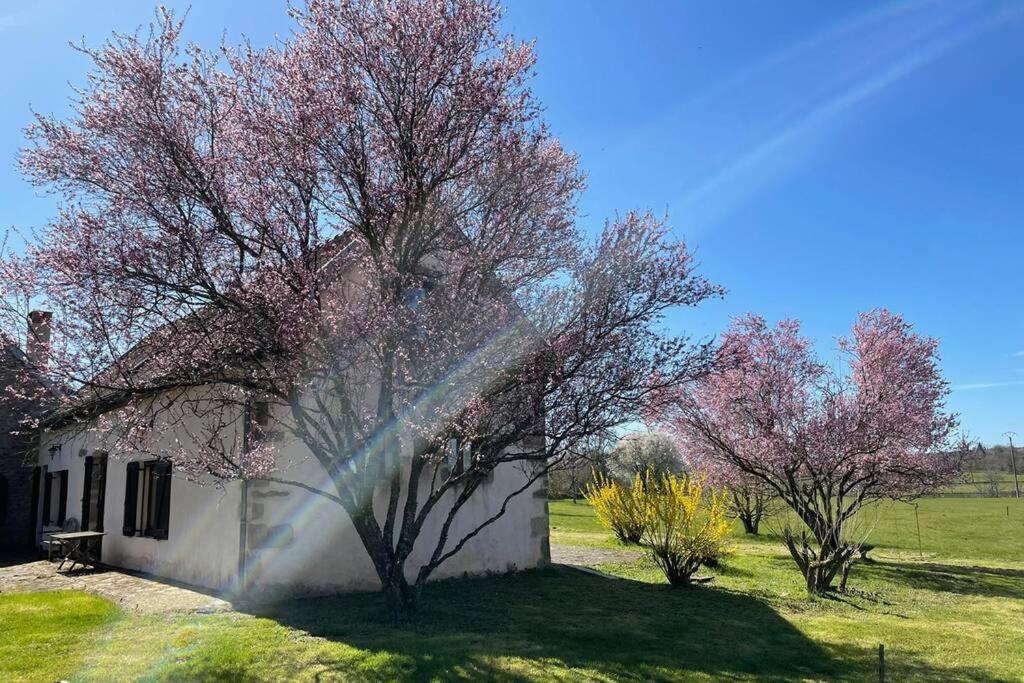 Chalet Les Orres, 3 pièces, 6 personnes - FR-1-322-58 05200 Les Orres
