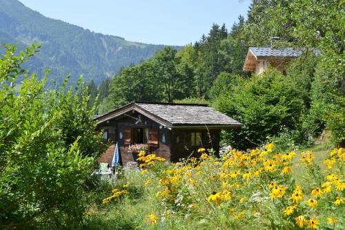 Chalet Les Soldanelles