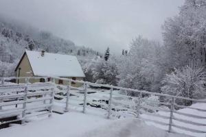 Chalet Chalet Loulou, massif central, Le Mont-Dore 6 Pré de la Saché 63240 Le Mont-Dore Auvergne