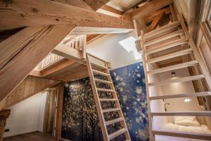 Chalet Luxe Aiguillette