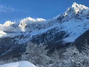 Chalet Chalet Mallory 70 Chemin des Folliachas 74400 Chamonix-Mont-Blanc Rhône-Alpes