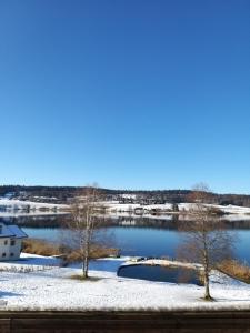 CHALET-MICHEL