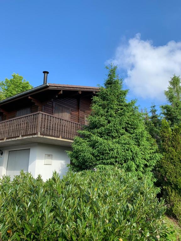 Chalet Chalet Naya - 6 personnes - SPA Nordique 102 Route des 4 Feignes 88400 Xonrupt-Longemer