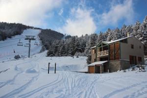 CHALET PLA DEL MIR
