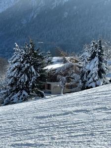 Chalet Pres des Cimes ski-in ski-out