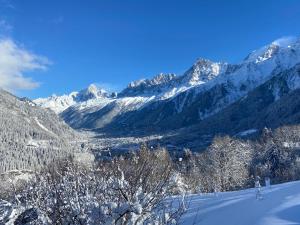 Chalet Pres des Cimes ski-in ski-out