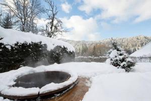 Chalet Renard in Morzine