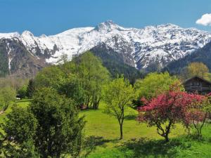 Chalet Saint Antoine