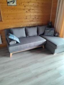 Chalet Sancy