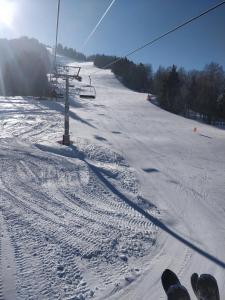 Chalet Savoiage