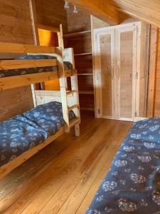 Chalet Chalet savoyard indépendant Les chalets Goélia, La Simianaz, Chalet 8. 729 Rue des Chasseurs Alpins 73300 La Toussuire Rhône-Alpes