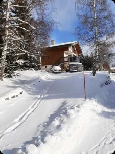 Chalet spacieux et convivial LA TOUSSUIRE