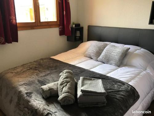 Chalet Valmeinier 1800 départ ski au pied 10 personnes