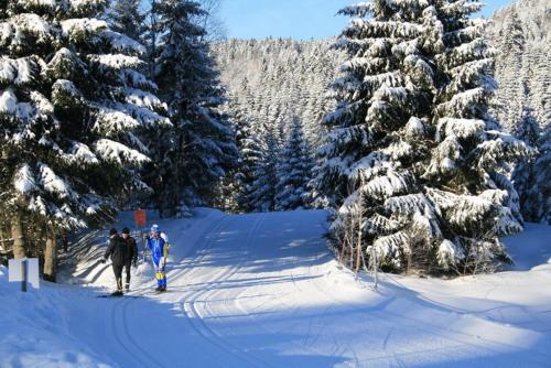 CHALET VERT