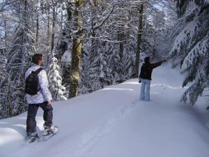 CHALET VERT