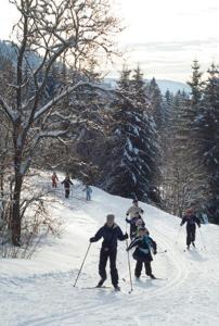 CHALET VERT