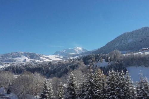Chalet vue Mont-Blanc, +4 Chambres, cheminée