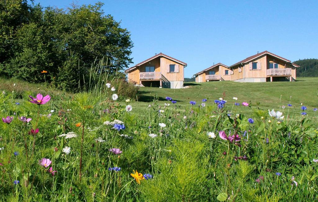 Chalets de Trémontagne 3 étoiles 2 Les pessettes, 39150 Prénovel