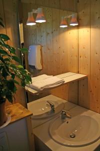 Chalet Chalets de Trémontagne 3 étoiles 2 Les pessettes 39150 Prénovel Franche-Comté