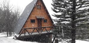 chalets montagnard