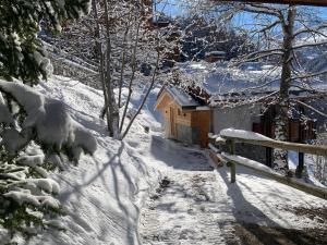 CHARMANT CHALET TOUT NEUF a MERIBEL