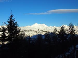 Chalet Charming chalet with a fire place and great view on Mont Blanc  73210 Peisey-Nancroix Rhône-Alpes