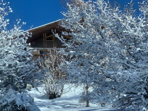 Charming New Chalet In Meribel Exceptional View