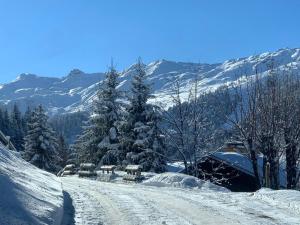 Charming New Chalet In Meribel Exceptional View
