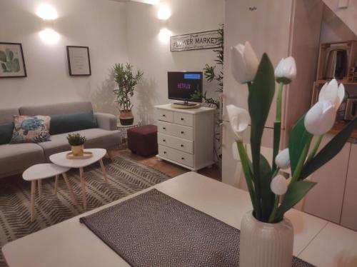 Chill Out Cabanon Coeur Calanques