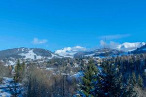 Close to the village - Chalet 4 Bedrooms, Mont-Blanc View