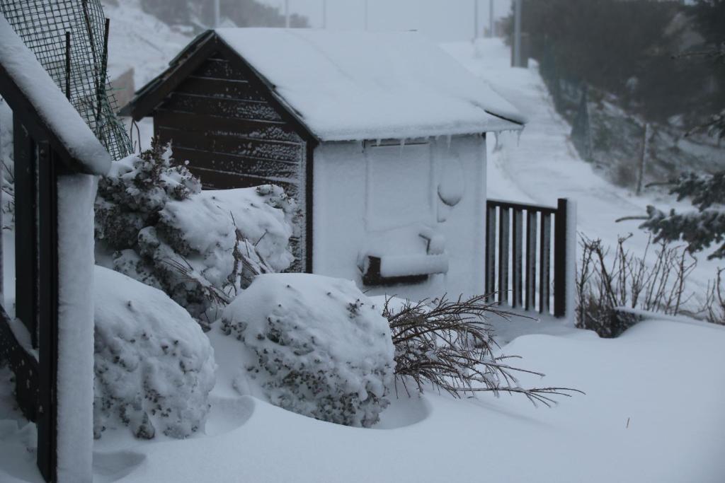 Chalet Cota 1500 - Chalé 51 - Penhas da Saúde Rua Aldeia da Neve, Lt 51, Penhas da Saúde 6215-120 Penhas da Saúde