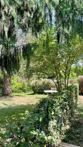 Cottage des Rivets au Lac du Bourdon