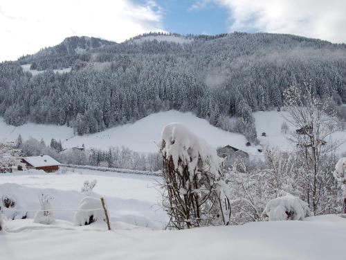 Cozy Chalet in Grand Bornand with Garden Furniture