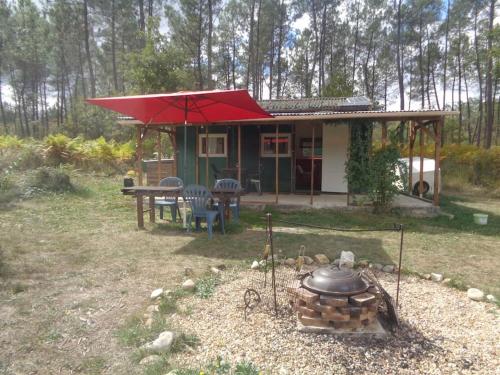 Cuckoo Lake Forest Cabin