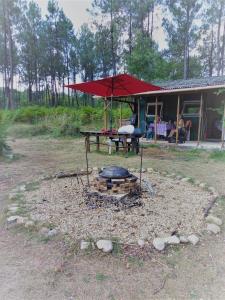 Cuckoo Lake Forest Cabin