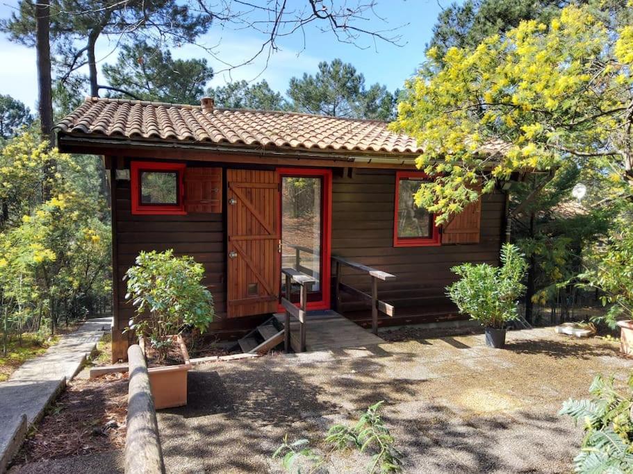 Chalet Chalet dans la pinède entre lac et océan 90 Rue des Forestieres, Maubuisson, 33121 Carcans