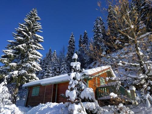 Chalet Daria Prémanon france