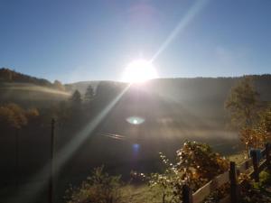 Der Nesselbacher