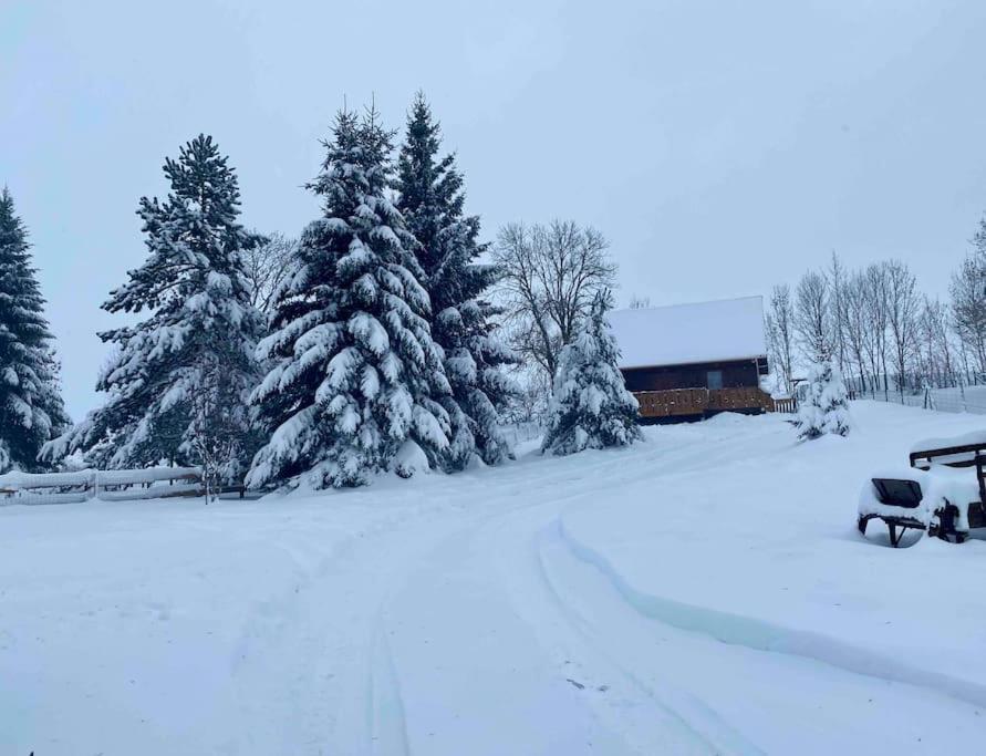 Chalet Chalet Des Marmottes du Sancy Route de Bort, 63850 Saint-Genès-Champespe