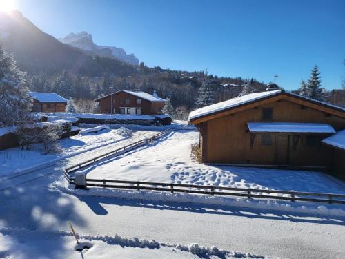 CHALET DES NEIGES Les Carroz d\'Arâches france