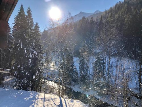 Chalet en pleine nature avec 2 appartements pour 6 ou 8 qui peuvent être réunis en 1 pour 14 personnes Saint-Gervais-les-Bains france