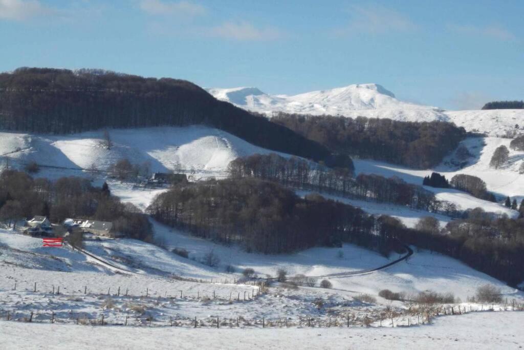 Maison de vacances Chalet en pleine nature pour 12 personnes La Fabrié, 63610 Besse-et-Saint-Anastaise