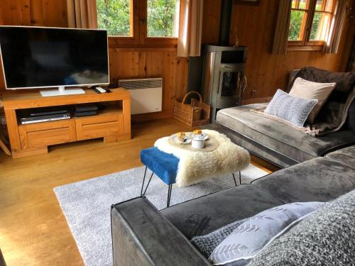 Family Chalet Central Chamonix Mont Blanc Views