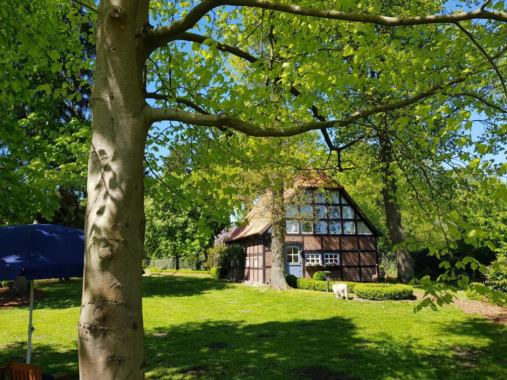 Gästehaus am Kattensteert 23 Kattensteert, 27356 Borchel