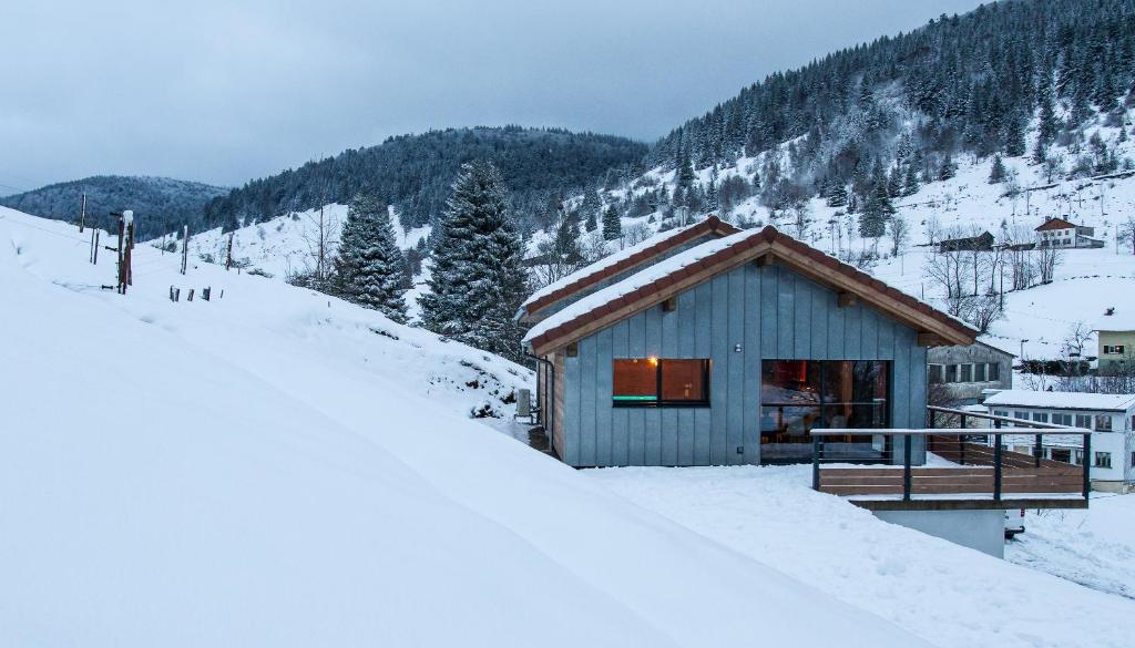 Chalet Gîte de standing 9P avec sauna & salle d'escalade 2 Route de Lambexaire 88250 La Bresse