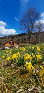 Chalet Gîte *** du Gazon du Cerisier 18 Chemin du Gazon du Cerisier 88530 Le Tholy Lorraine